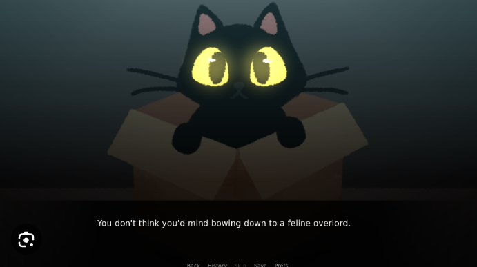 Do Not Take This Cat Home cover